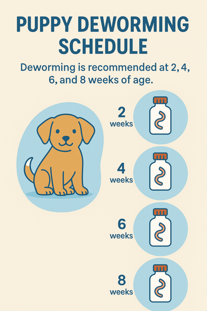 2 to 8 week puppy deworming schedule chart with week-by-week guide