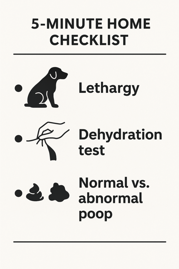 "Dog diarrhea home assessment checklist with visual cues"