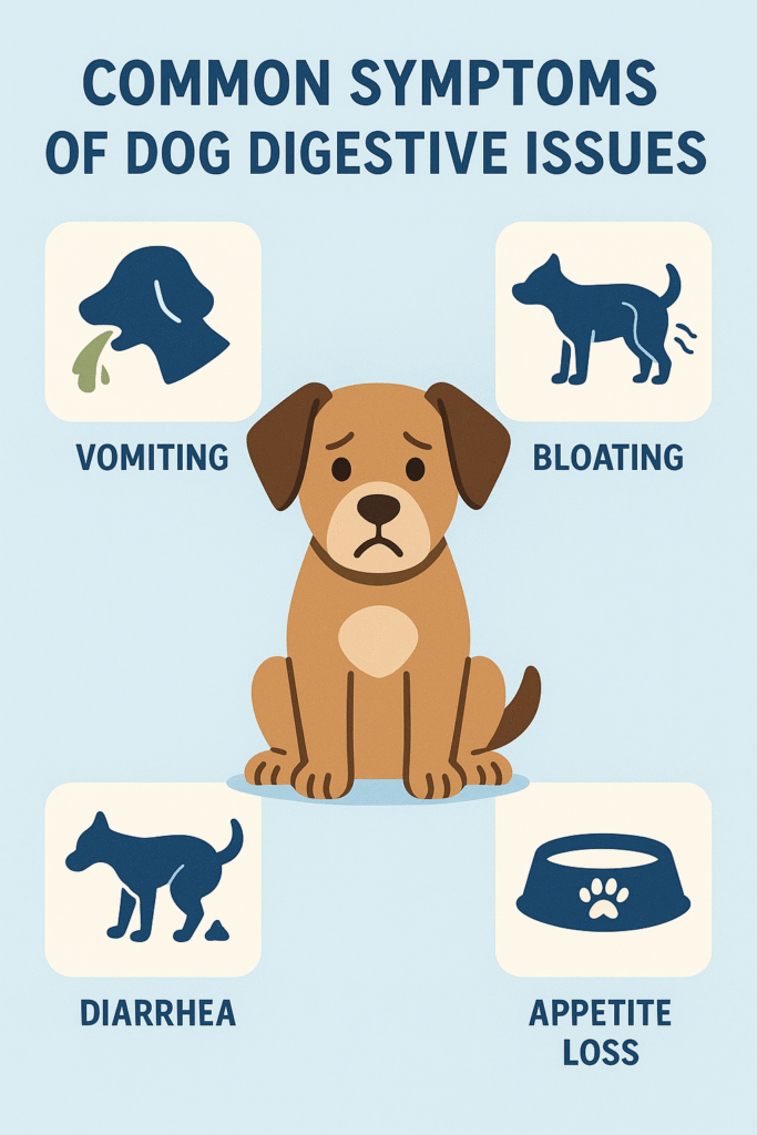  “Infographic showing common symptoms of dog digestive issues like vomiting, diarrhea, bloating, and appetite loss, with a cartoon dog illustration.”
