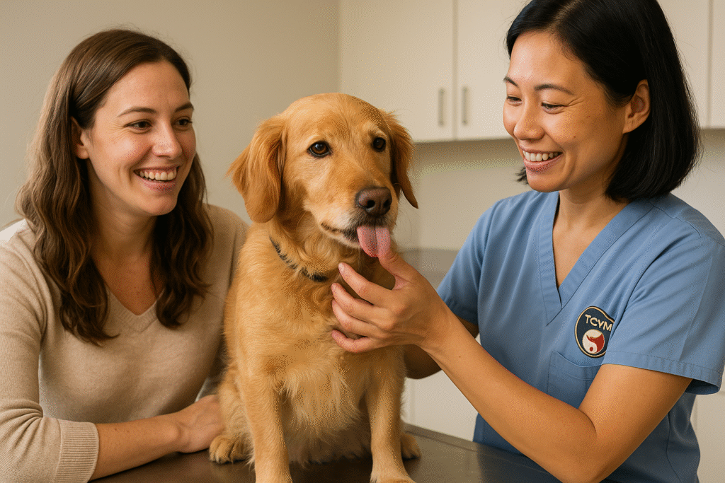 "Starting traditional Chinese medicine for dogs with a certified vet"