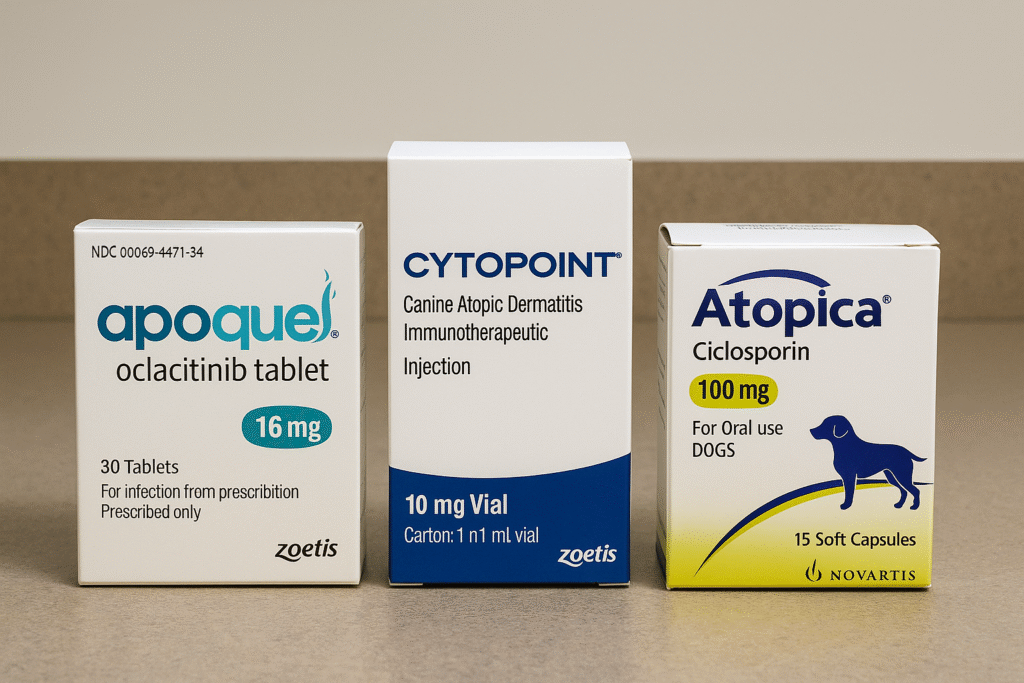 "Systemic therapy options in canine atopic dermatitis management"