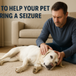 "Dog having seizure on living room floor while owner stays calm beside it"