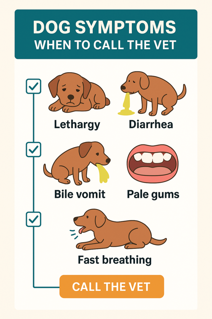 "Dog vomiting home checklist showing symptoms and emergency signs'