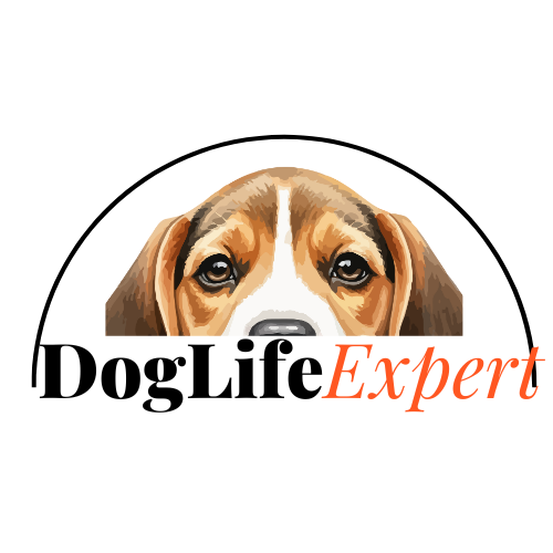 Dog Life Expert